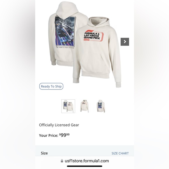 🏎️ NWOT! Formula 1 Las Vegas Grand Prix Hoodie - Picture 8 of 8